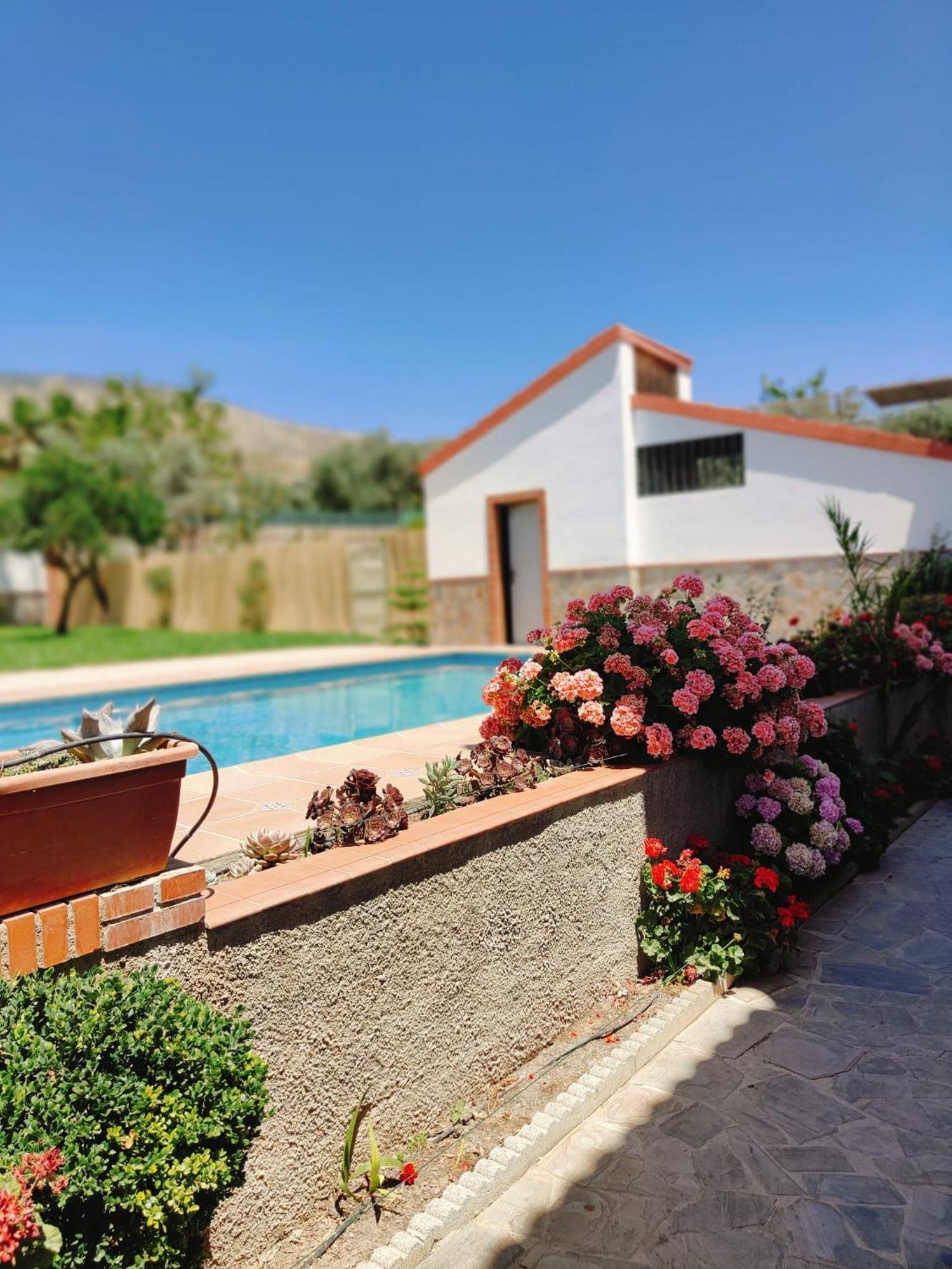 Casa Rural Las Cuatro Flores Orgiva Exteriér fotografie