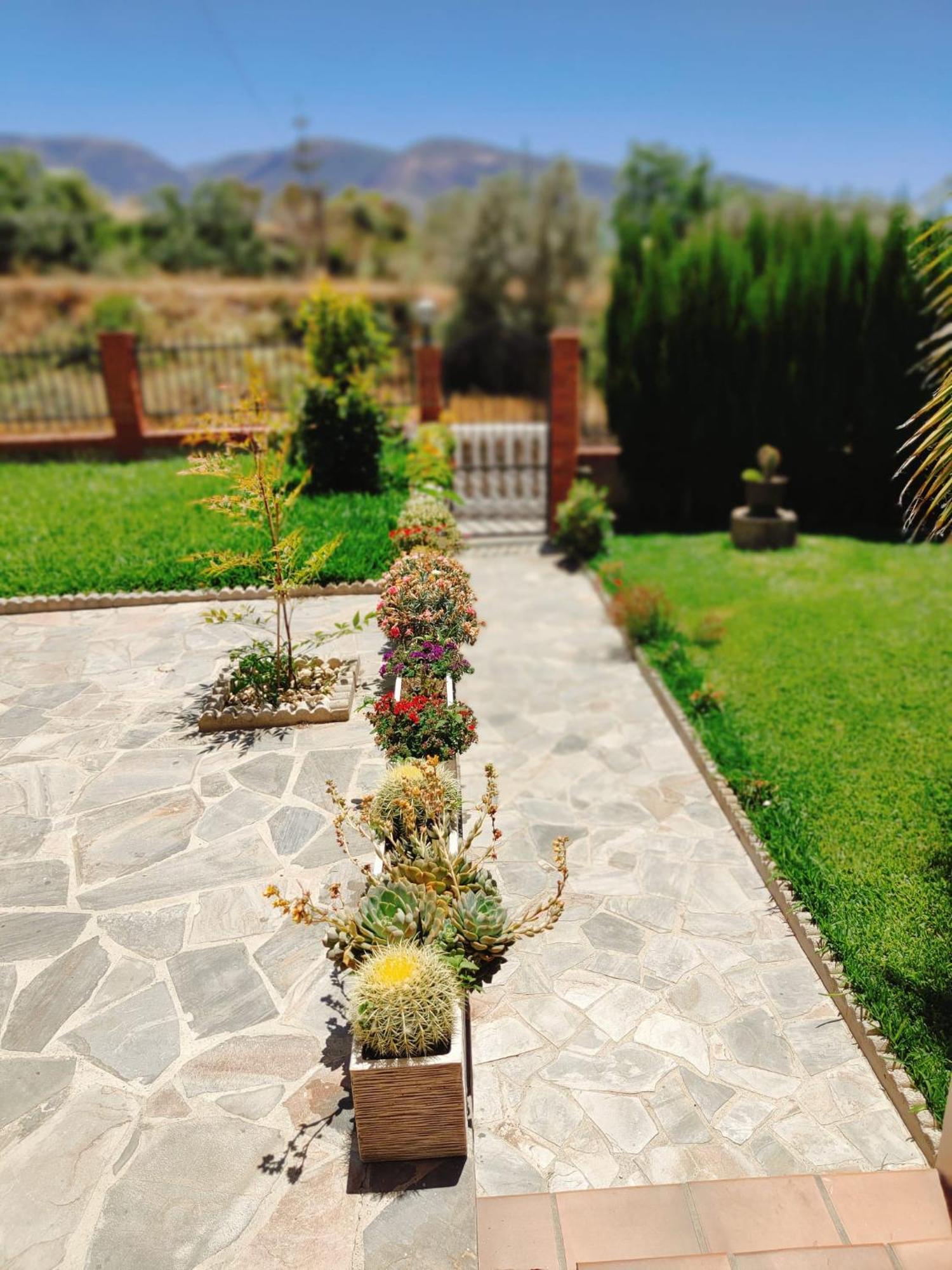 Casa Rural Las Cuatro Flores Orgiva Exteriér fotografie